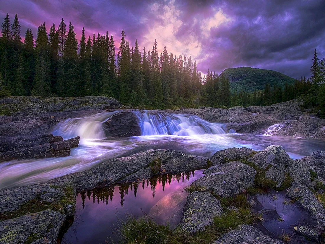Красивая природа