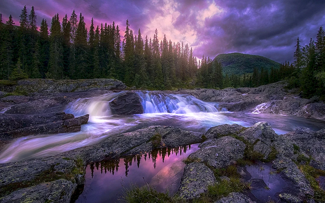 Красивая природа