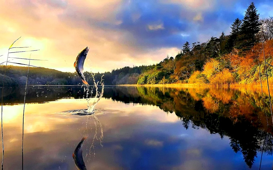 Красивая природа рыбалка
