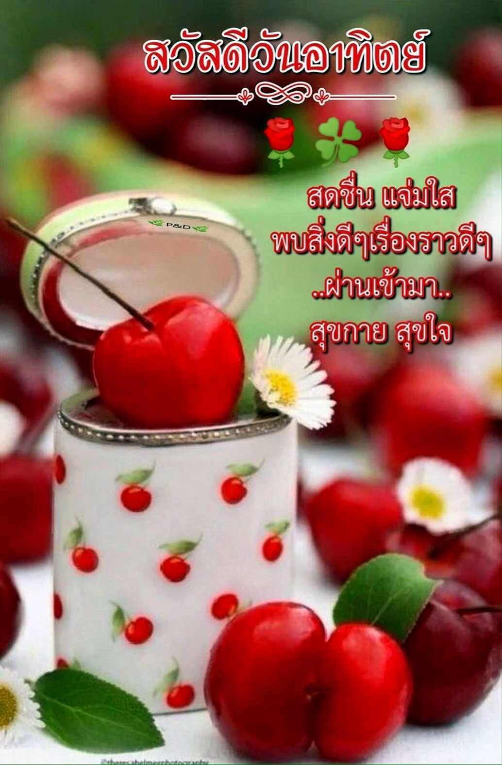 Красивая вишня