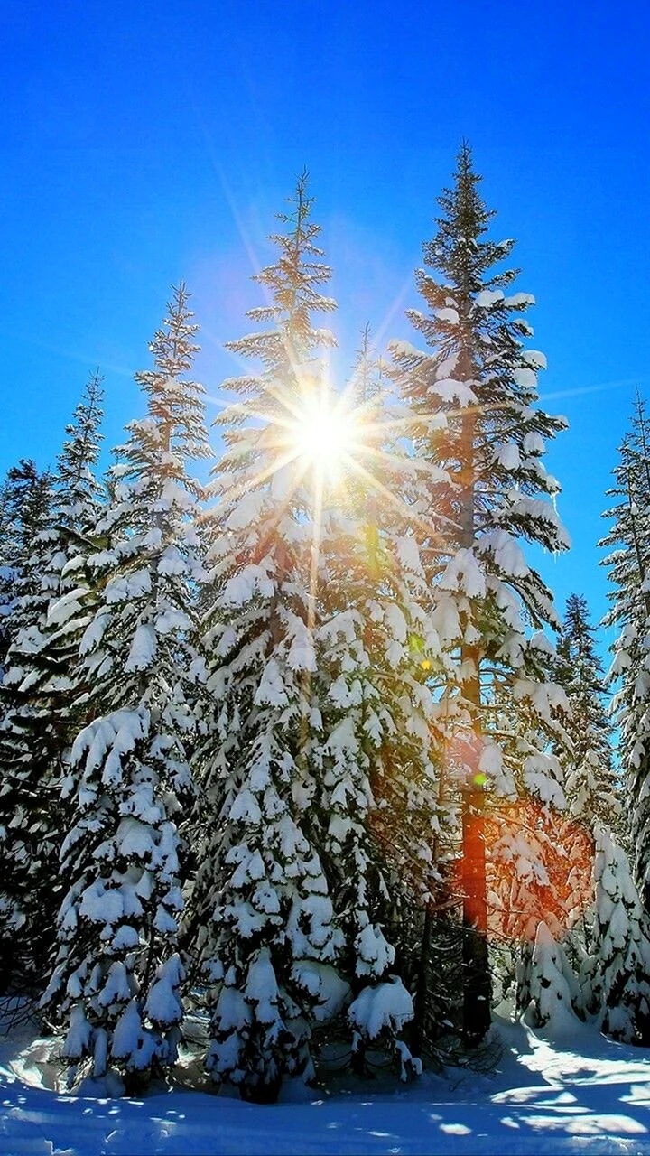 Красивая зима