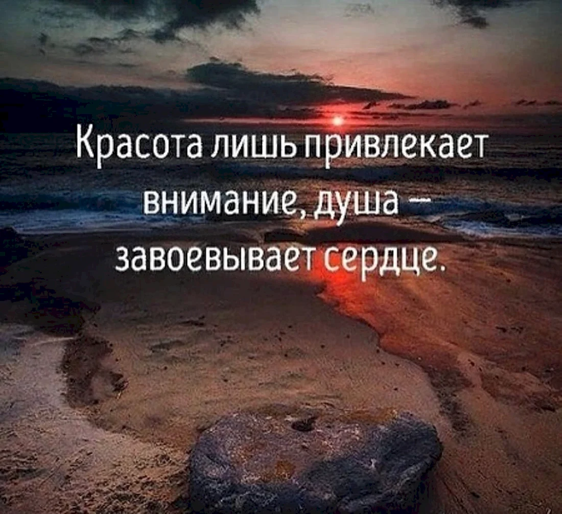 Красивые фразы