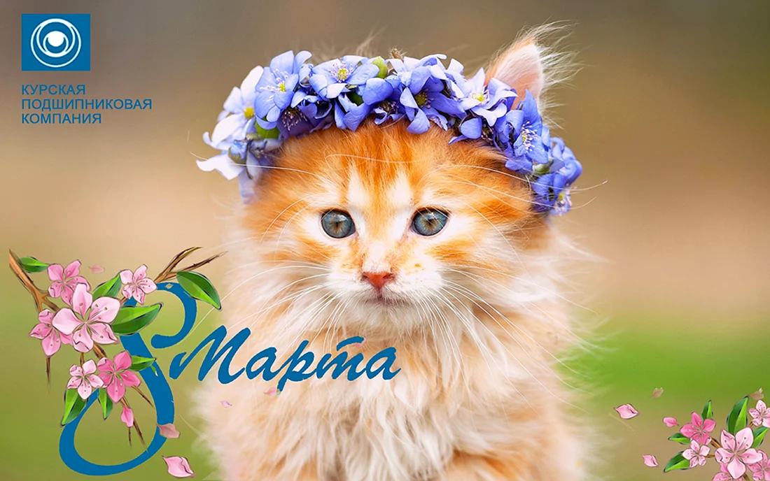 Красивые котята