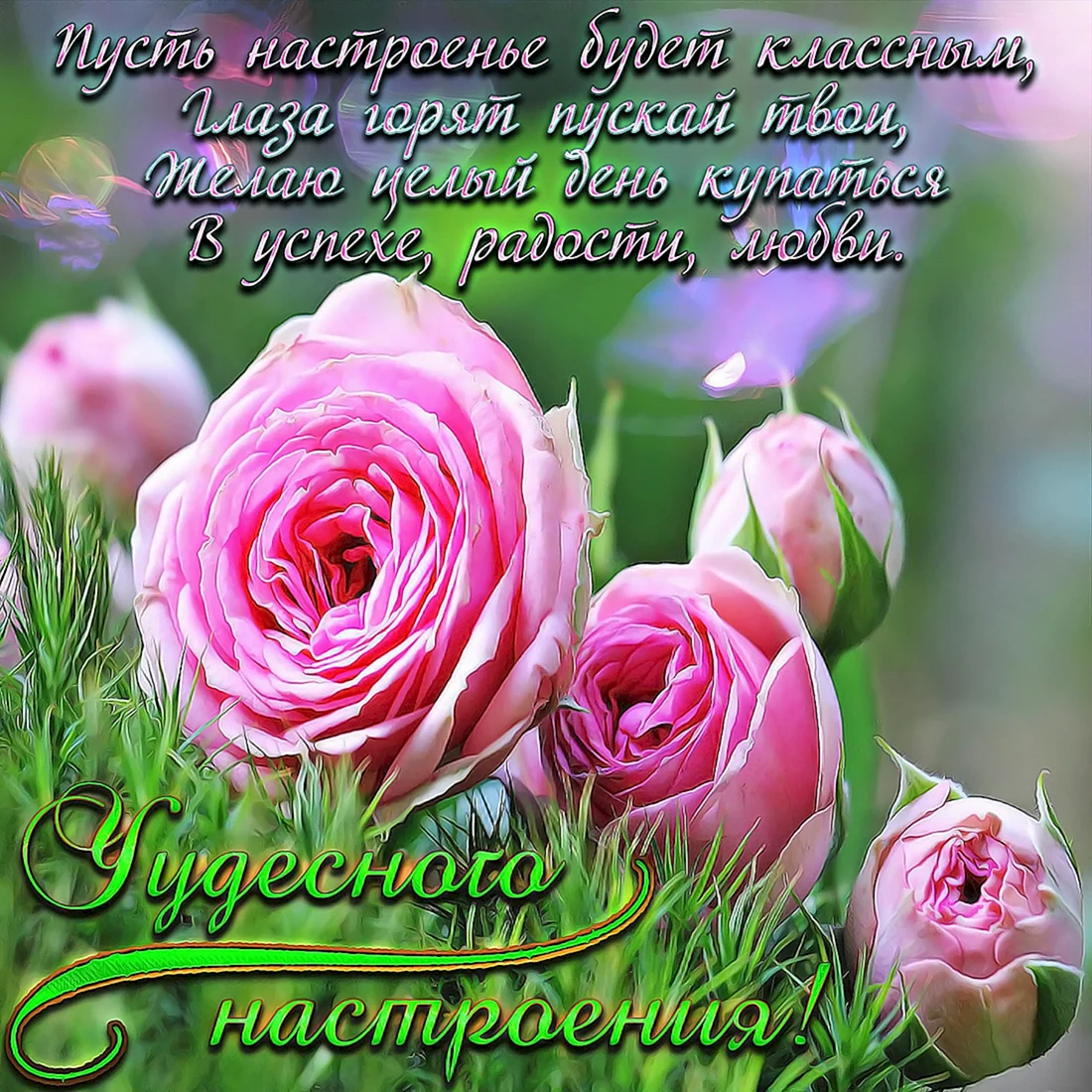 Красивые открытки с пожеланиями