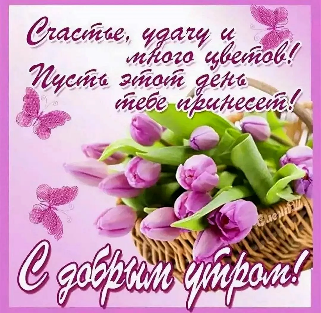 Красивые пожелания с добрым утром