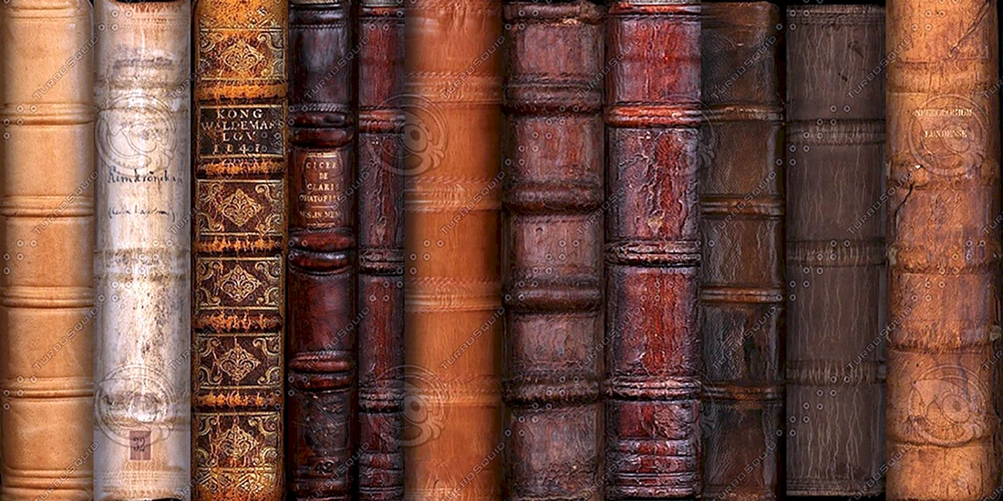 Красивый фон с книгами