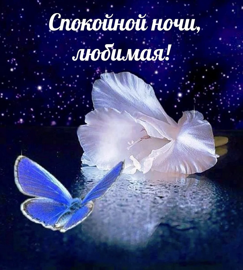 Красивых снов