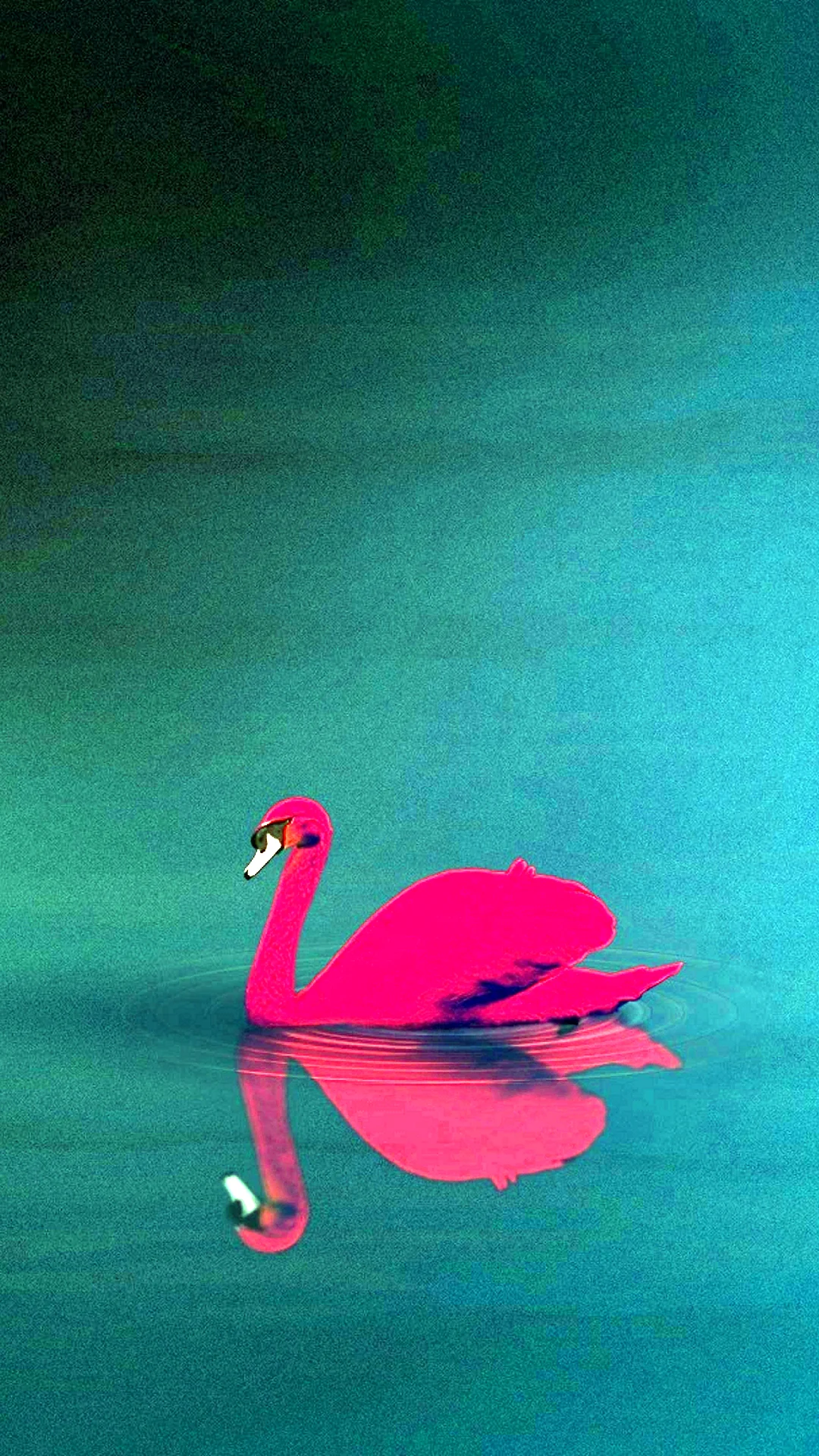 Красный лебедь