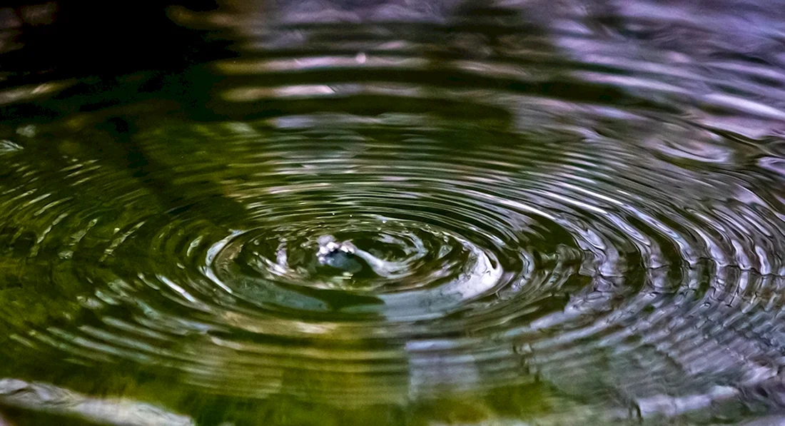Круги на воде