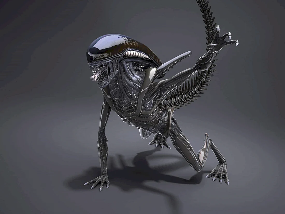 Ксеноморф чужой 3d
