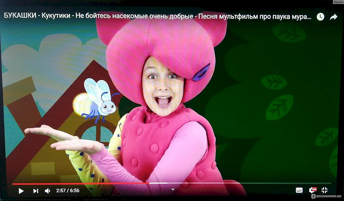 Кукутики насекомые