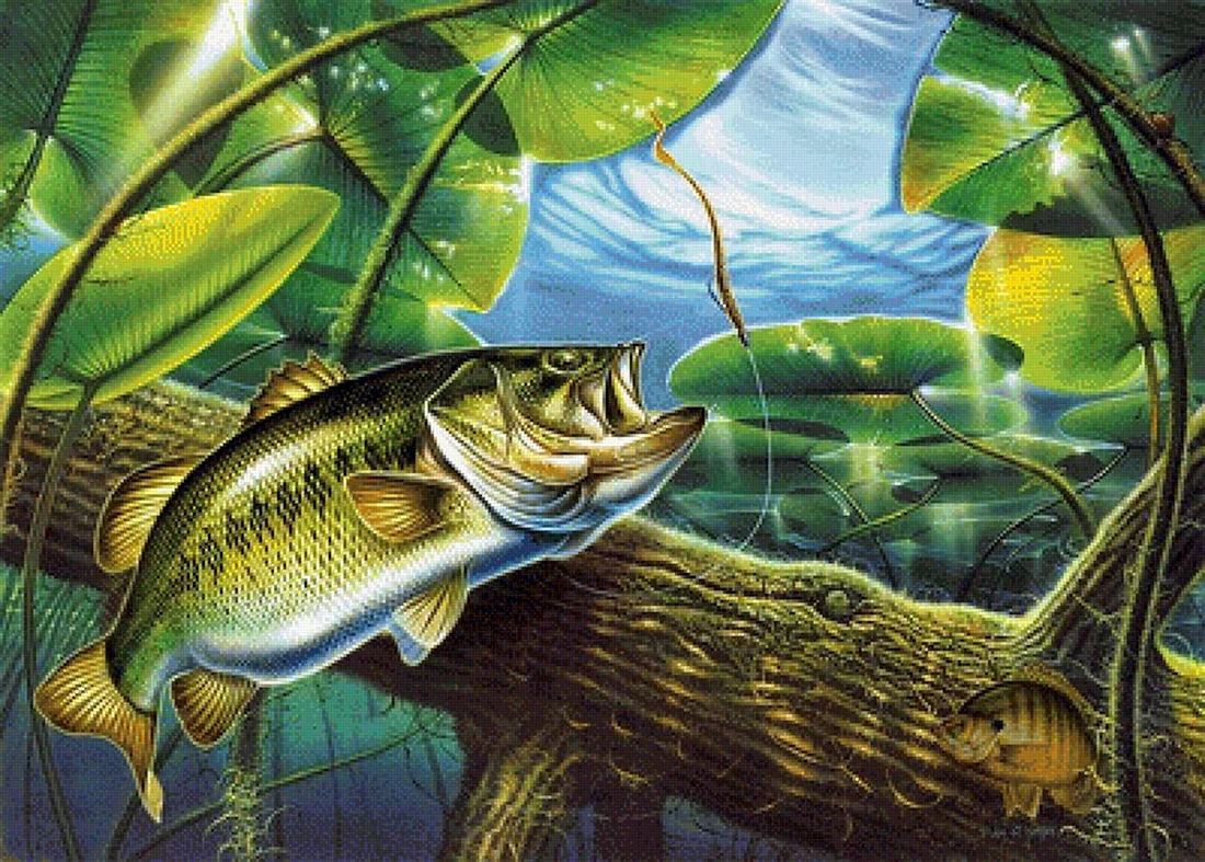 Largemouth Bass рыба