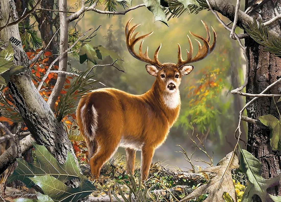 Лес с животными