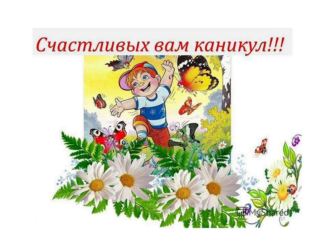 Летние каникулы