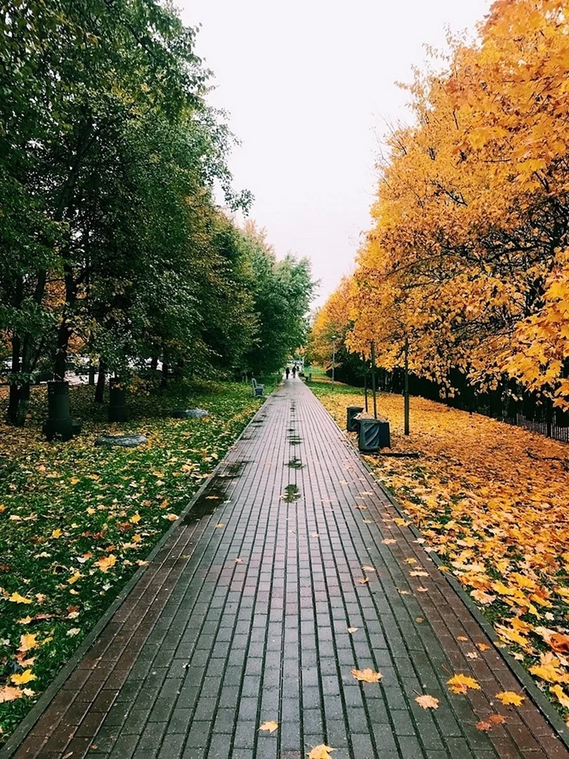 Лето осень
