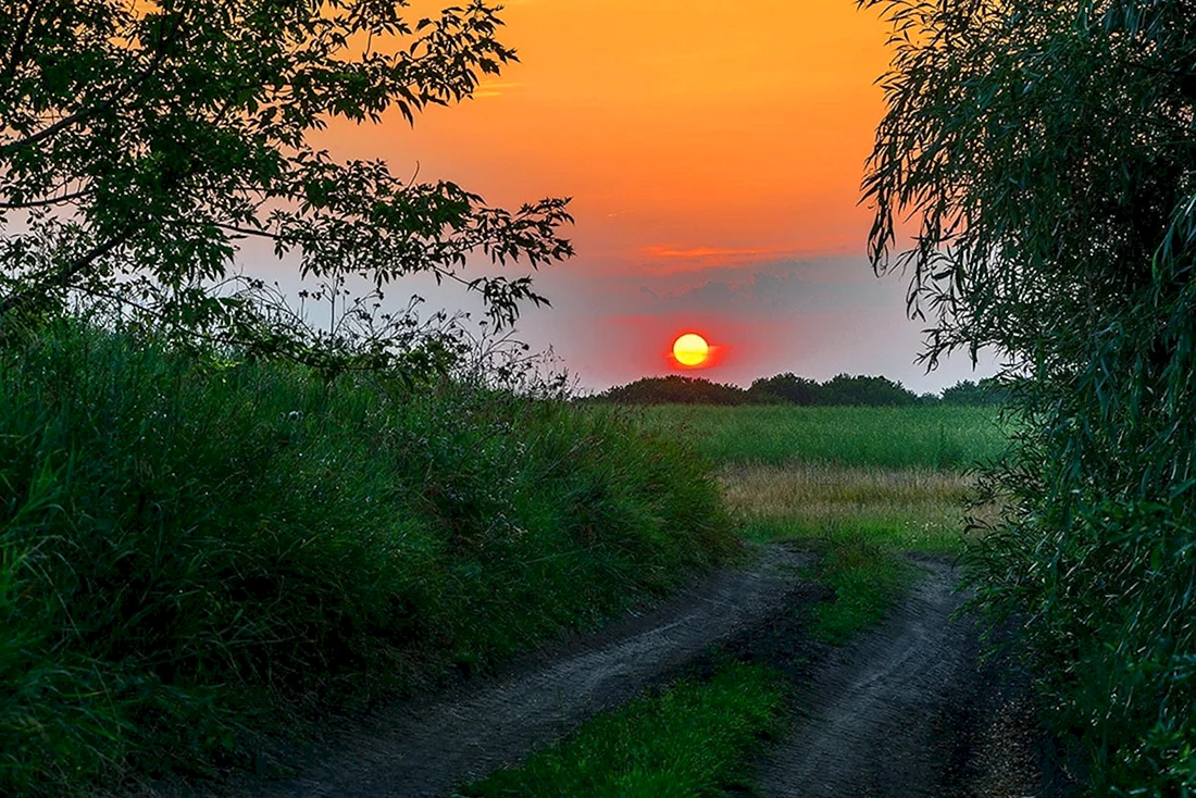 Лето закат