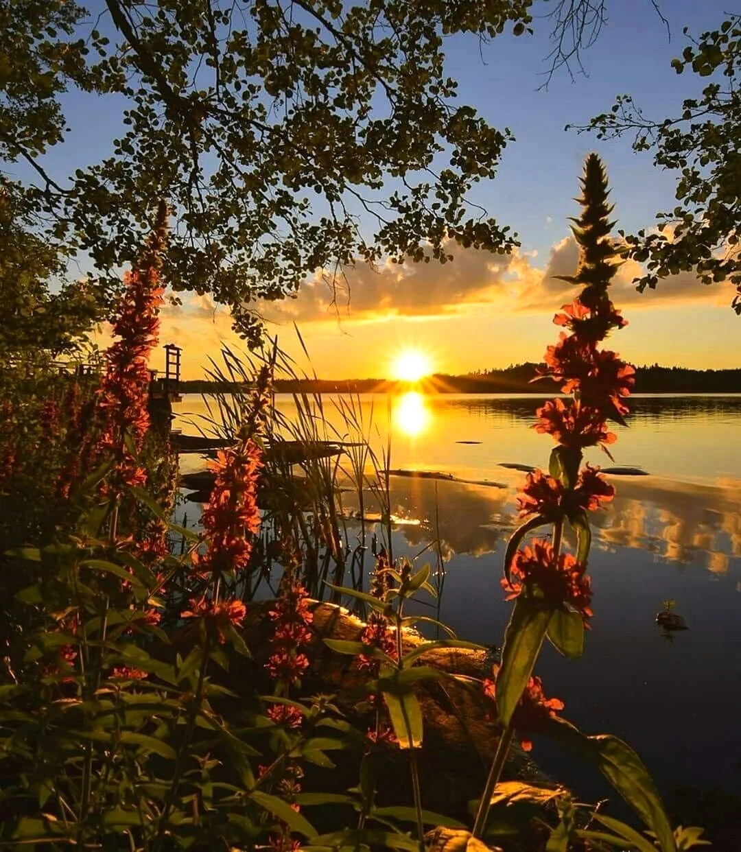 Лето закат