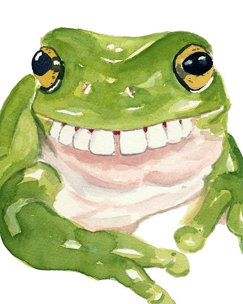 Лягушка рисунок