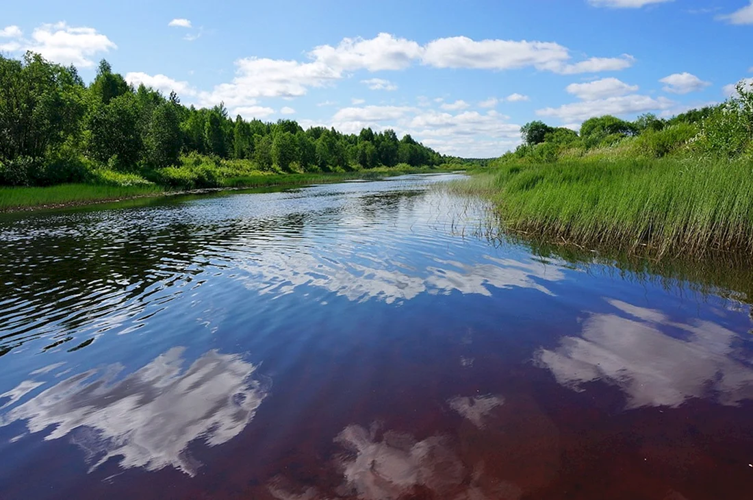 Лопань река