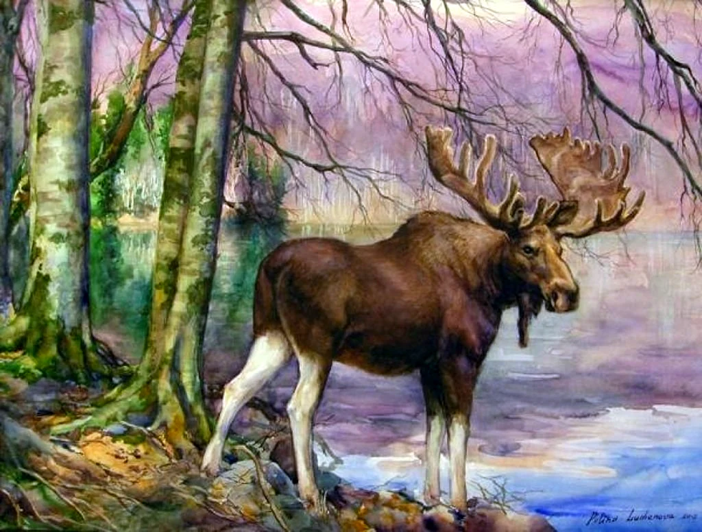 Лось
