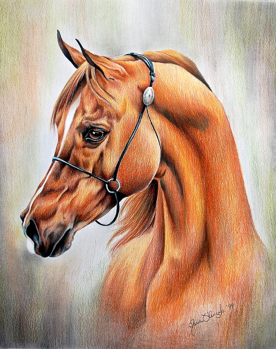 Лошадь рисунок