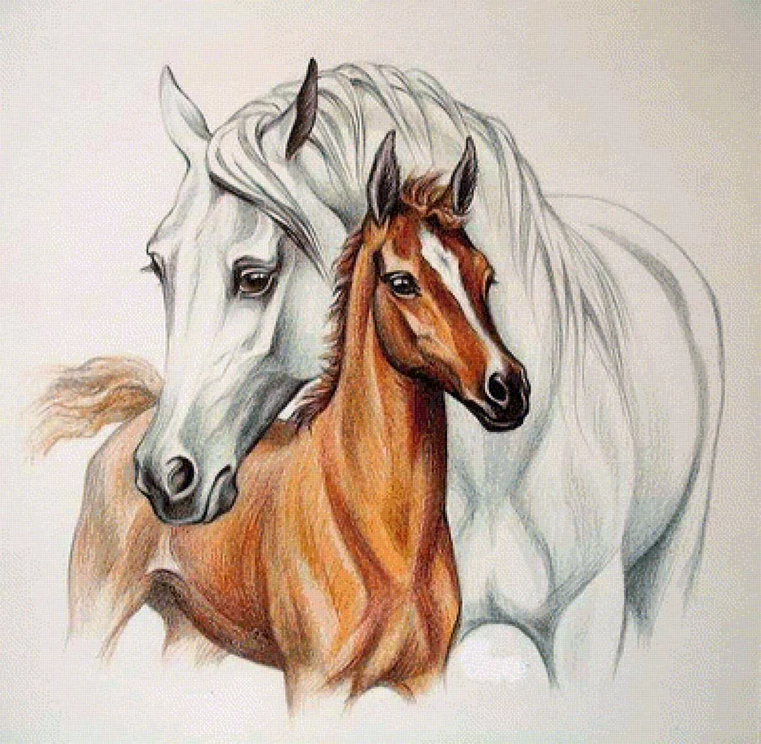 Лошадь рисунок