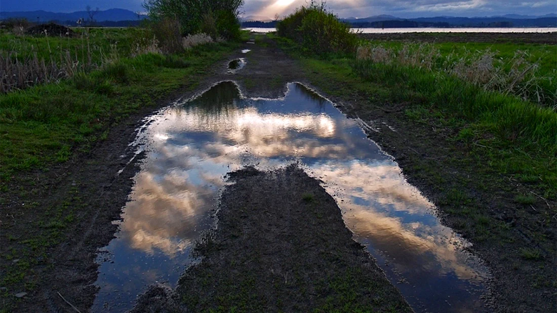 Лужа