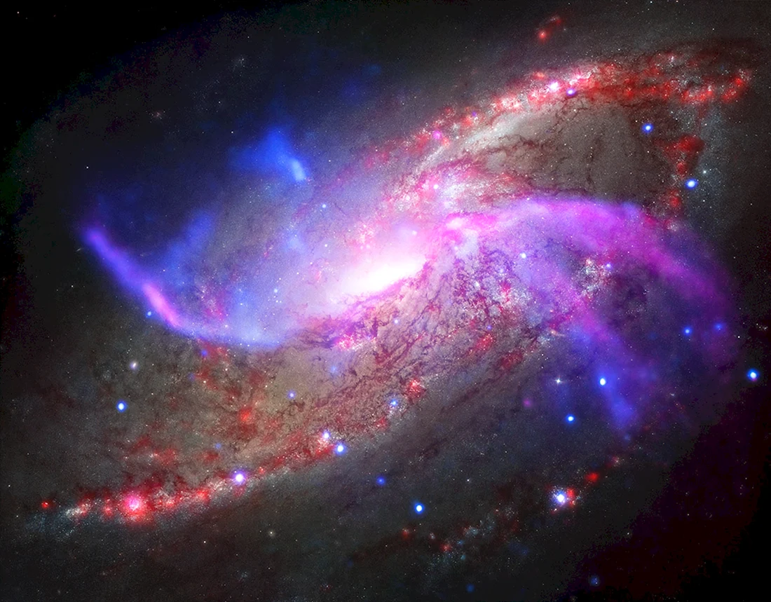 M 106 Галактика