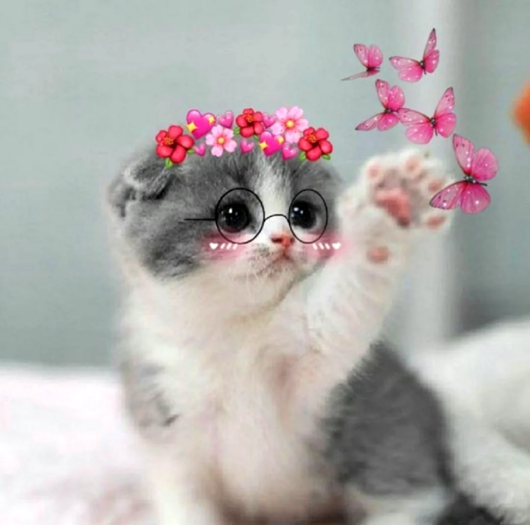 Маленький котенок