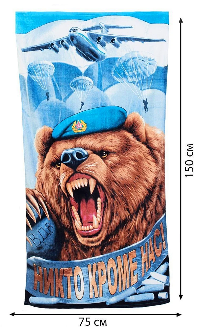 Медведь ВДВ