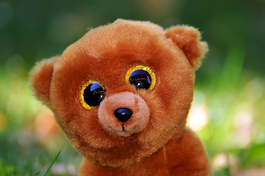 Медвежонок