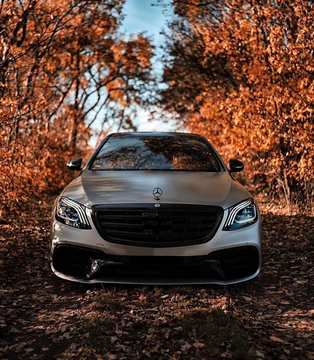 Mercedes-Benz w222