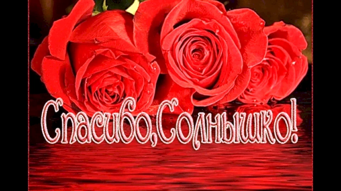 Мерцающие красные розы