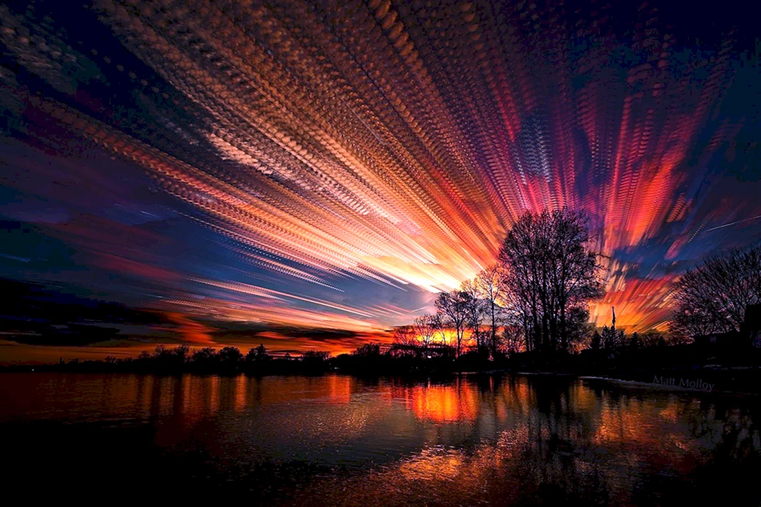 Мэтт Моллой