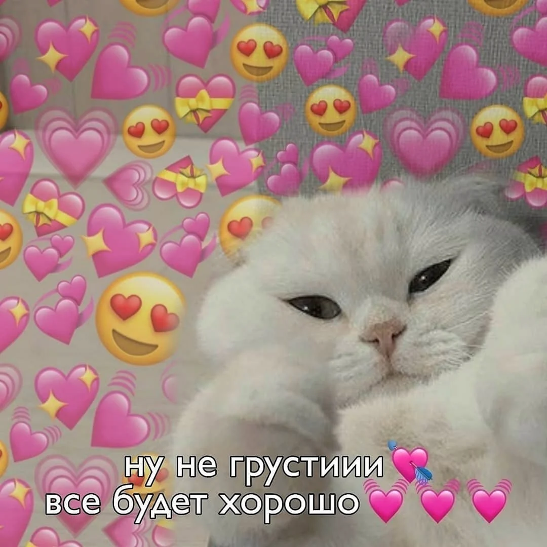 Милые котики с сердечками