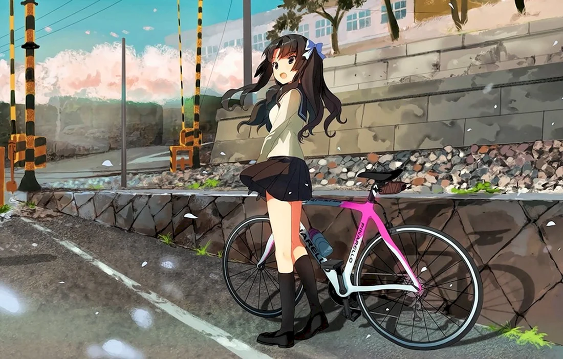 Minami Kamakura Koukou Joshi Jitensha bu аниме