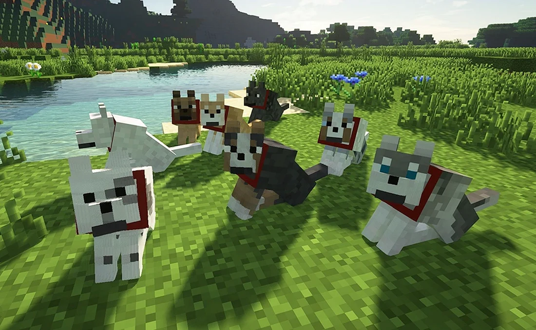Minecraft