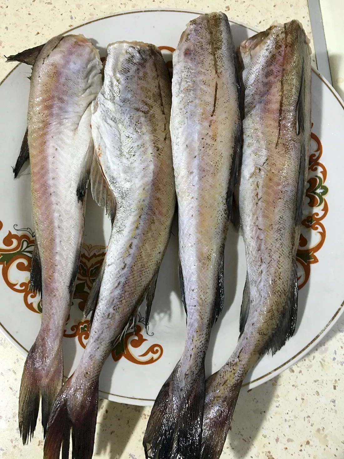 Минтай рыба