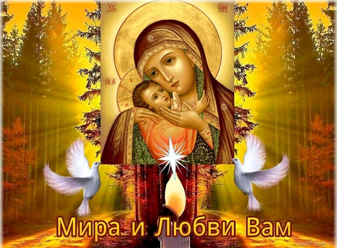 Мира и добра