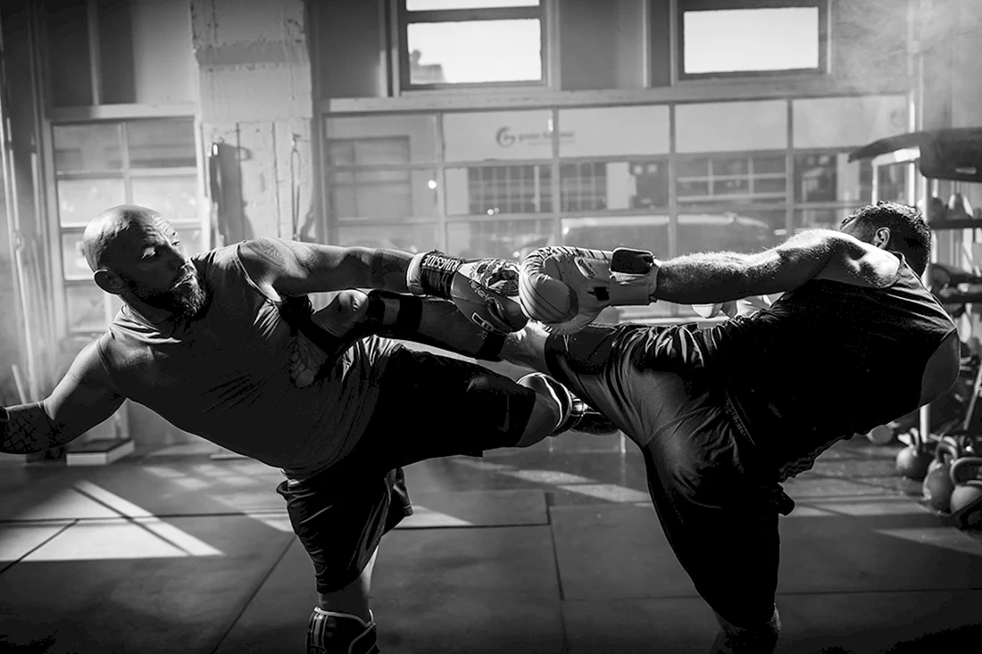 MMA спорт