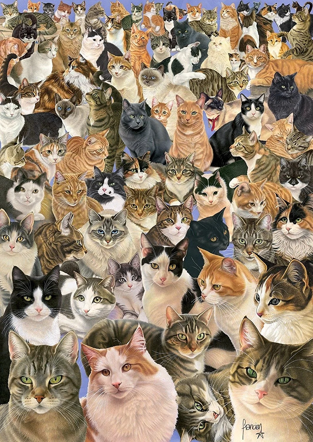 Много кошек