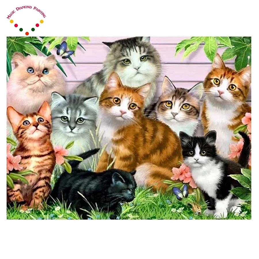 Много кошек