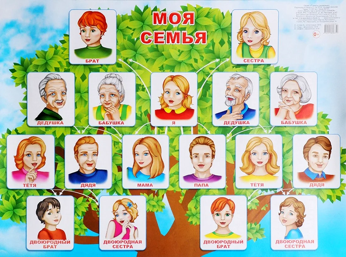 Моя семья