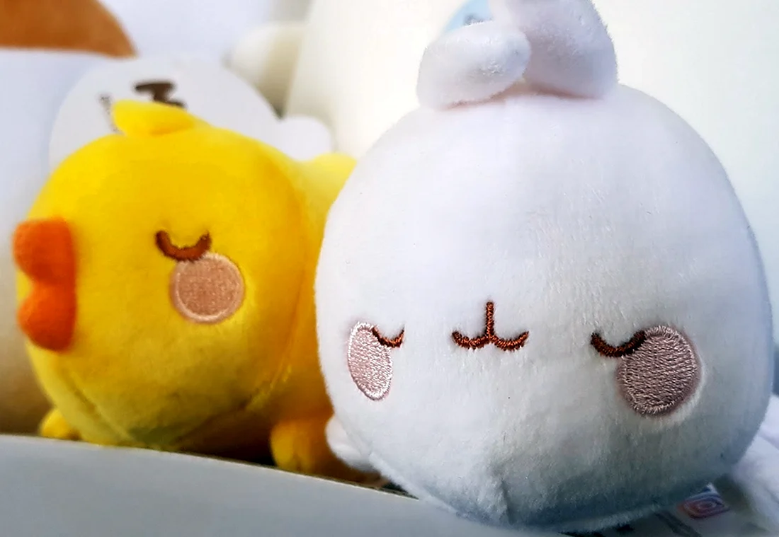 Molang Tomy
