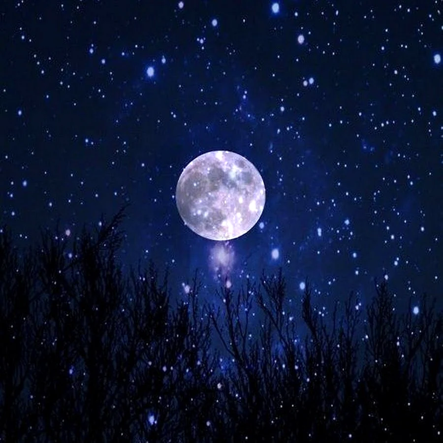 Moon Luna фулл