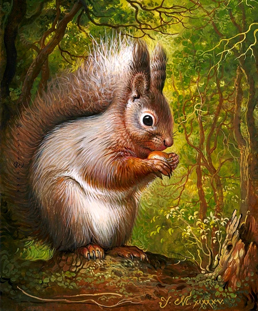 Мовчан художница Яна животные белки
