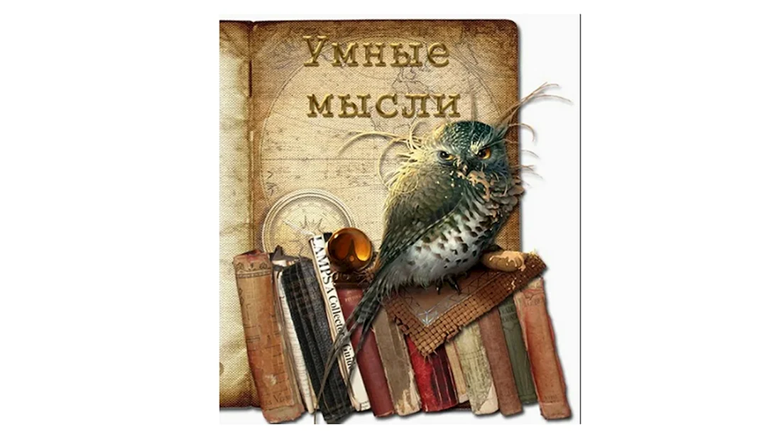 Мудрые мысли