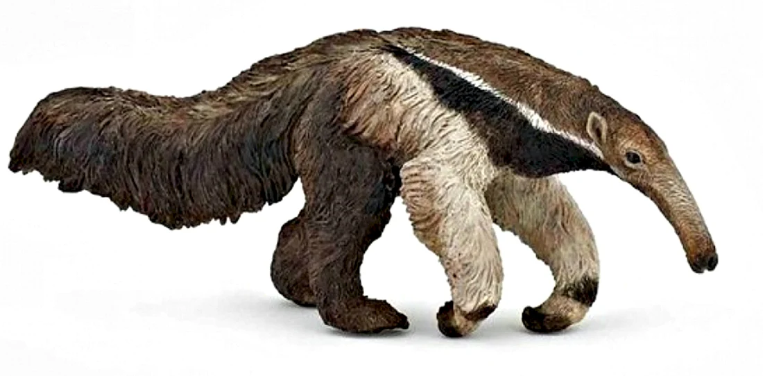 Муравьед papo