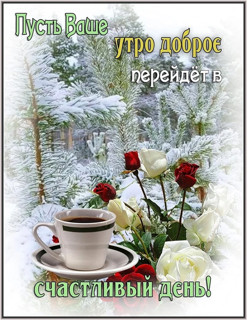 Нежного зимнего дня