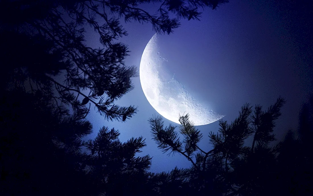Ночь Луна